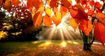 După o vară caniculară, meteorologii anunță o toamnă cu temperaturi neașteptate. Schimbările climatice au pus stăpânire pe România