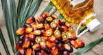 Cel mai TOXIC ulei din comerț. Românii îl consumă zilnic fără să știe cât de periculos este pentru sănătate