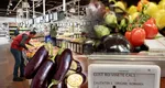 Cât costă 1 kg de vinete în Mega Image. Prețul mai multor sortimente de legume, mai mare decât în Uniunea Europeană