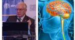 Medicul Vlad Ciurea dezvăluie care sunt cele două alimente banale care ne fac mai deștepți. Fac minuni pentru creier