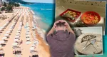 Doi români, experiență dezastruoasă la un hotel de 5 stele din Bulgaria! Ce au primit turiștii să mănânce la „All-inclusive”