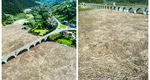 INCREDIBIL! Imaginile dezastrului fără margini. Viaductul de la Poiana Largului (Neamț) s-a transformat într-o mare de lemne și resturi venite din amonte, după dezastrul de noaptea trecută de pe râul Bistrița