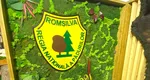 Verificările la Romsilva au scos la iveală pierderi financiare masive, prime nejustificate, fonduri speciale gestionate defectuos şi suspiciuni de corupţie. A fost sesizat Parchetul General