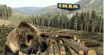 IKEA: Nu desfășurăm nicio activitate forestieră comercială în zonele desemnate la nivel național ca parte a patrimoniului forestier protejat al României”