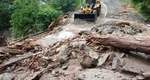 Furtuna a făcut prăpăd pe Transfăgărășan! Trafic blocat din cauza bucăților de copaci și a pietrelor