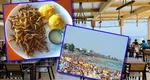Cât costă 100 de grame de hamsii în Costinești. Prețuri mai mari ca în Mamaia: ”Doamne ferește să mai iei pâine, mămăligă și mujdei”