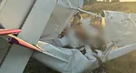 S-a aflat cine erau cei doi bărbați prăbușiți cu avionul la Gura Portiței. Unul dintre ei supraviețuise unei alte prăbușiri cu câteva ore mai devreme