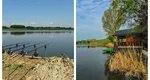 Afacerea de lângă București care a înflorit. Românii care se ocupă cu așa ceva au dat lovitura
