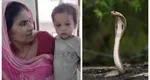Incredibil! Un copil de doi ani a ucis o cobră care îl atacase! Cum a reușit asta