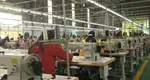 Concedieri 2025. Un gigant olandez de modă, care deține 5 fabrici în România, face restructurări masive. Sute de angajați vor rămâne pe drumuri