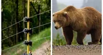 Râşnov – Prima localitate din România care instalează gard electric împotriva urşilor