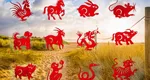 Horoscop chinezesc. 3 zodii au parte de provocări vineri, 11 iulie 2025