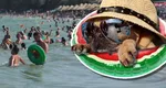 Prognoza meteo 8 iulie. Cod roșu de caniculă, vor fi 41 de grade la umbră. Unde lovesc furtunile