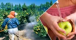 Cea mai simplă și eficientă metodă prin care poți elimina pesticidele de pe fructe și legume. Nu implică nici bicarbonat, nici oțet