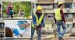 Angajări 2025. Locuri de muncă bănoase pentru români în străinătate. Se caută culegători de pere, dar şi stomatologi sau muncitori în construcţii