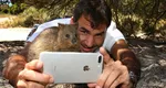 Cum arată „cel mai fericit animal din lume”. Quokka, animăluțul care l-a cucerit până și pe Roger Federer