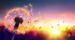 Zodiile care au șanse mari să își schimbe viața până la finalul lunii iulie 2025. Cum le influențează Mercur și Saturn retrograde
