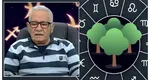Mihai Voropchievici, zodiacul copacilor iulie 2025: Omul-brad se află în centrul Universului