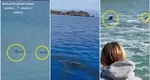 Panică pe litoralul turcesc! Rechini surprinși aproape de mal în stațiunea Bodrum. Turiștii au fost evacuați de pe plajă