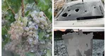 Rupere de noi, grindina „cât mingea de ping-pong” a făcut prăpăd în multe locuri din ţară. Vuietul furtunii s-a auzit de la 5 km GALERIE FOTO şi VIDEO