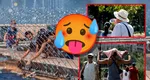 Cod PORTOCALIU de caniculă până luni seară. Cod GALBEN, în Capitală. Meteorologii anunță vipie și temperaturi insuportabile