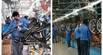 O cunoscută fabrică de biciclete din România intră în insolvență. Afacerile de milioane de euro au scăzut cu 80%
