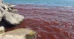 Marea Galileei e roșie ca sângele. Localnicii vorbesc despre semne apocaliptice: „Oamenii ar face bine să se pună bine cu Iisus înainte să se întoarcă”