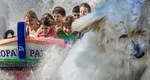 Prognoza meteo. Weekend bun de bronzat, cresc temperaturile semnificativ. Reprize scurte de ploi în zona montană