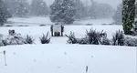 VIDEO Schimbările climatice provoacă fenomene extreme în cele mai neașteptate locuri. Zăpezi de 40 de centimetri în Australia, cele mai mari din ultimii 40 de ani