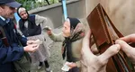 Greșeala care îi poate lăsa pe români fără pensie. Casa de Pensii, anunț important pentru o categorie de pensionari