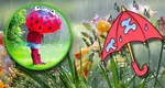 Prognoza meteo 19 august 2025. Vreme de toamnă în plină vară. Ploi torențiale și vijelii
