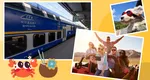 Minivacanța de Adormirea Maicii Domnului: CFR adaugă mai mute vagoane pe mai multe rute pentru a face față cererii