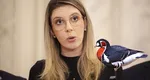 EXCLUSIV CUTIA NEAGRĂ. Salvăm gâsca cu gât roșu, dar românii mai așteaptă. Ministerul Mediului cheltuie 36 de milioane de lei pentru păsări, în timp ce românii mor de foame