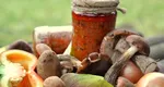 Rețetă de zacuscă de ghebe. Gospodinele se pregătesc intens pentru iarnă