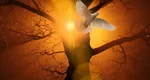 Horoscop 2025. Zodiile care sparg ghinionul și primesc binecuvântarea Cerească. Primesc bani fără număr, avansează în carieră și au noroc în dragoste