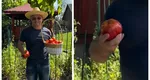 Emil Boc, mândru că i s-au copt roșiile. ”No, bună treabă. Doamne ajută!” VIDEO