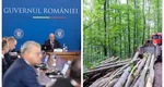 Guvernul are ședință vineri pentru reorganizarea Romsilva. Ce prevede documentul care urmează să fie adoptat