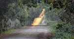 Horoscop 2 octombrie 2025. Perseverența, carisma şi energia pozitivă ajută o zodie să se simtă în al nouălea cer