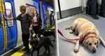 Vrei să iei câinele cu tine în metrou? Iată ce trebuie să știi înainte de asta. Ce se arată în regulamentul Metrorex