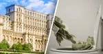 Austeritate doar pentru oamenii de rând. Românii strâng cureaua, Camera Deputaților sparge jumătate de milion de euro din bugetul de stat pe WC-uri