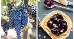 Dulceață de struguri, rețeta vedetă a toamnei. Musafirii vor fi impresionați de acest deliciu