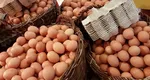 Prețul ouălor a început să crească în toată Europa. Cu cât le vând producătorii români