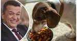 Sorin Grindeanu susține impozitarea progresivă și acuză abuzuri în deducerea TVA: „Se cumpără mâncare de câini pe firmă”