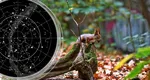Horoscop 26 septembrie 2025. Balanţele cheltuiesc mai mulţi bani, Scorpionii au parte de gelozii, Leii se uită la birou