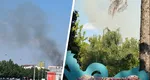 Incendiu masiv la Grădina Zoologică din București. 11 autospeciale intervin la fața locului pentru stingerea focului