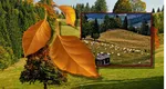 Vremea a bulversat anotimpurile. Fenomenul care schimbă tiparele meteorologice în septembrie. Un TALVEG atmosferic condimentează toamna