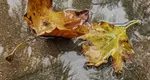 Vremea se răcește în România. Meteorologii Accuweather au actualizat prognoza meteo pentru 12-21 septembrie