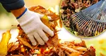 Regula care vizează o anumită categorie de români. Amenda poate ajunge până la 50.000 de euro!
