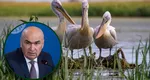 Guvernul Bolojan desființează Comisariatul Rezervaţiei Biosferei „Delta Dunării”. Acesta va fi ”înghițit” de Garda de Mediu Tulcea