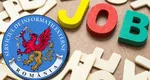 SIE face angajări! Salariile pot urca până la 19.000 de lei. Ce posturi sunt disponibile